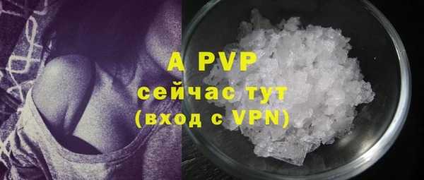 винт Алзамай